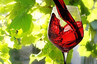 Red wine