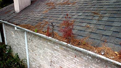 Damaged roof, shingles and gutters on home.