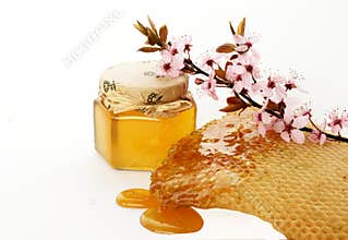 Honey and flower