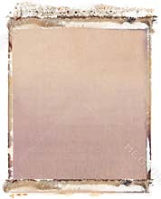 4x5 polaroid transfer