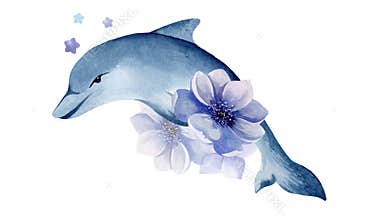 watercolor illustration of a dolphin.