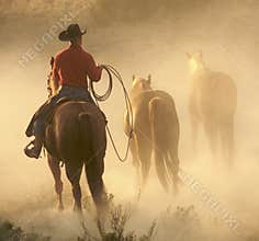 Cowboy in the Dust