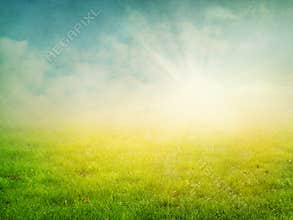 Summer abstract nature background