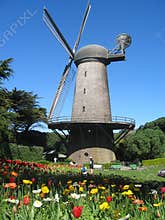 Windmill in Golden Gate Park
