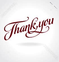 thank you hand lettering (vector)