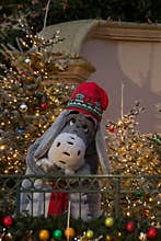 Eeyore