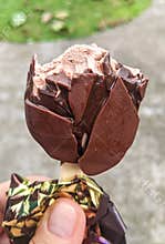 Chocolate ice cream in a girl`s hand