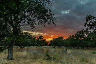 Fall colors in the Texas Hill Country Sunset