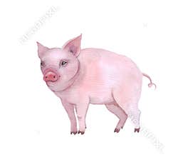 Watercolor cute pig on a white background.