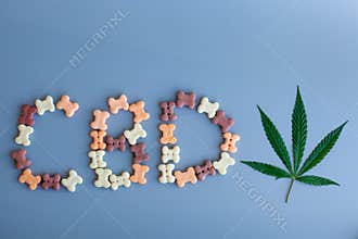 CBD lettering written from dog or cat food. CBD cannabis or hemp content in pet treats