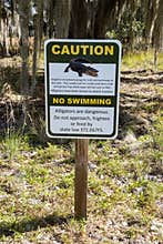 No Swimming  Alligator Danger  Wildlife