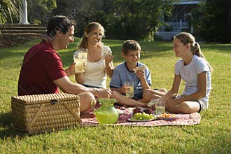 Family having picnic in park.