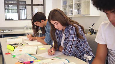 Concentrated girls and guys studying at college school