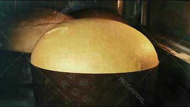 High speed video leavening and baking christmas panettone