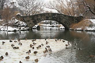 Winter Snow in Central Park