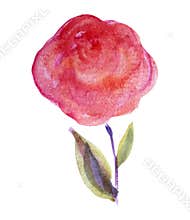 Watercolor rose clipart