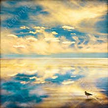 Sky and Sea Fantasy