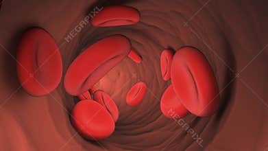 Blood cell flowing inside vein.