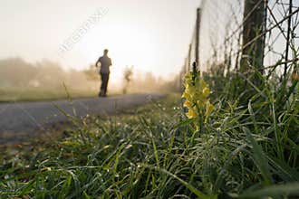 Morning jogging on a foggy day