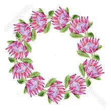 Watercolor Tropical Protea Wreath. Wedding invitation with leaves, protea flowers