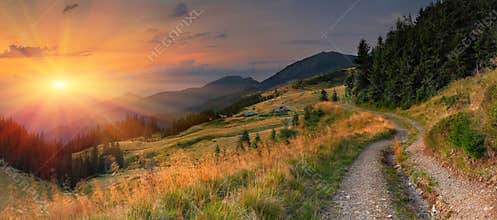 Summer landscape in the mountains