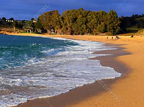 Late afternoon at the beach