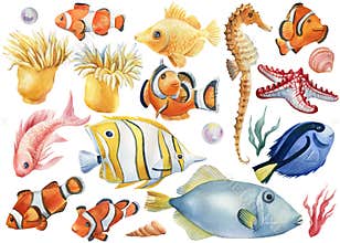 Marine life. Seashells, fish, algae, seahorse, starfish on an isolated white background, watercolor illustration