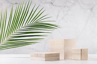 Wooden podiums with green palm leaf in sunlight on white wood table and marble wall. Fashion showcase for cosmetic products, goods