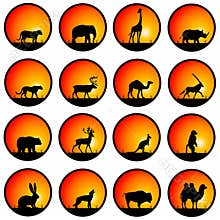 Wildlife silhouettes