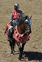 U.S./International Jousting Championship