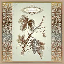 Vintage grape elements for wine label, menu, print