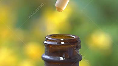 homeopathy, close up of droplet dosing herbal pharmaceutical oil on background fresh healing medicinal herbs