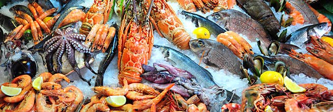 Fresh seafood