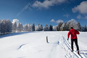 Young man cross-country skiing
