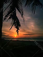 Beautiful, view, holiday, sun family
