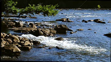 Water moving swiftly over rocks with overhanging branch on Catawba River in South Carolina, USA