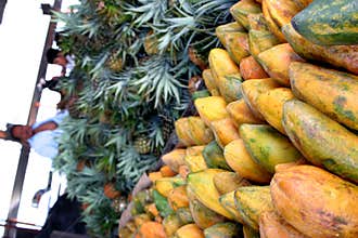 Papayas and Pineapples in Market
