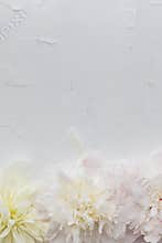 Blank beautiful flowers frame design