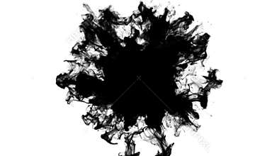 Color burst black smoke powder shockwave explosion fluid ink particles alpha