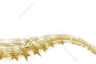 Christmas card golden wake