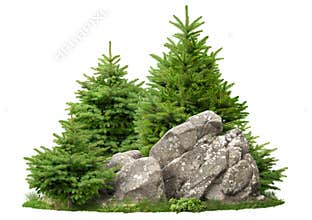 Cutout rock surrounded by pine trees
