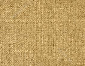 Canvas Texture