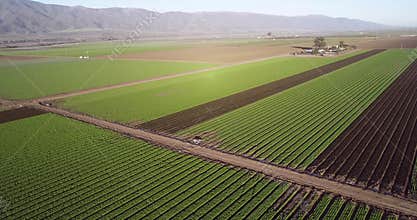 Aerial view of agricultural fields in California, United States. Salinas valley. USA 1