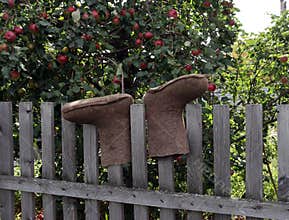 felt boots are dried on a wooden rustic fence against the background of an apple tree