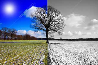 Season change