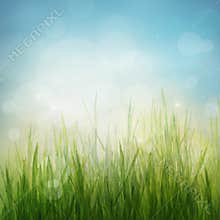 Spring or summer abstract season nature background