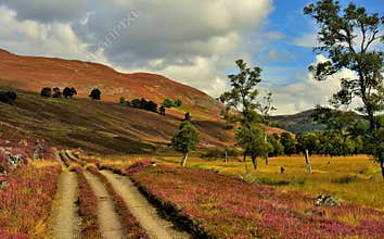 Stalkers track, Deeside, Scotland