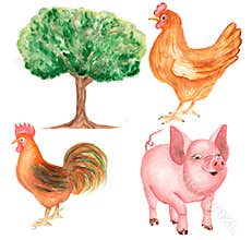 Farm Animals Clipart, Watercolor hand drawn ruster and cock Clip art, Cute pig illustration, chicken clip art, Village set