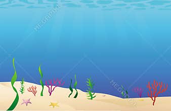 Ocean floor sea bed
