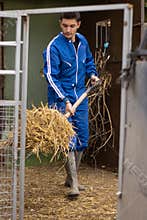 Vertical portrait of young man cleaning his animals` stall by shoveling up the straw and leftover feed.animal care and cleaning